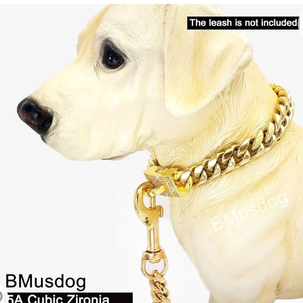 Dog Chain Collar Metal Chain Coll with Cubic Zirconia Design Secure Buckle, 18K